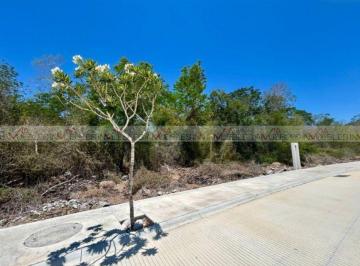 Terreno / Lote · 1307m² · Terreno / Lote en Venta en Progreso