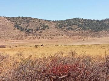 1 · 5 Hectáreas de Parcela Agropecuaria