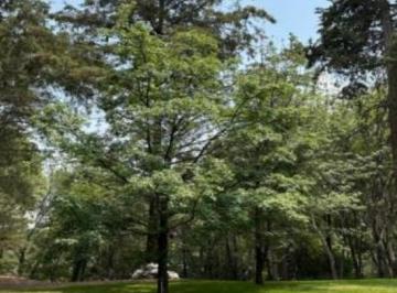 Terreno / Lote · 1109m² · Terreno en Venta en Club Campestre de Puebla – ¡Increíble Oportunidad!