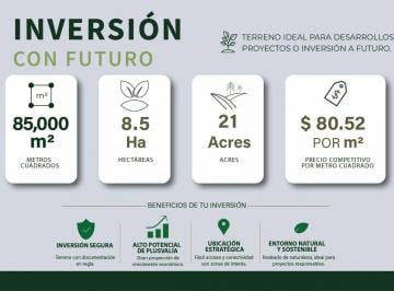 Terreno / Lote , Cancún · Terreno en Venta Escriturable | 8.5 Hectáreas con Alto Potencial | Cancún Quintana Roo