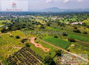 Terreno / Lote · 8400m² · Terreno en Venta en San Martin de Las Piramides Ve 25 - 3321