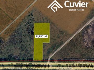 Terreno / Lote · 15000m² · Terreno en Altamira