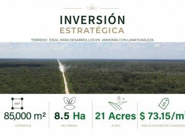 Terreno / Lote , Cancún · 8.5 Hectáreas en Cancún | Ideal Para Proyectos Ecosustentables o de Baja Densidad