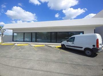 2916ff802f0c16ee711dd2cd4bf55e93b2486eb1f7572c467b2b947aeb161c2e · Renta Local Comercial en Planta Baja en Cholul, Zona Norte de Merida