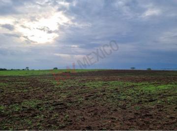 Terreno / Lote , Yecapixtla · Terreno en Venta - Yecapixtla - Morelos