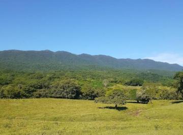 Terreno / Lote · 2000000m² · Rancho en Venta en Llera de Canales, Tamaulipas a Solo 4 Km de El Encino