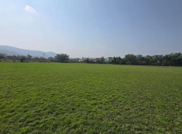 Terreno / Lote · 30000m² · Terreno - Centro