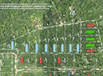 Terreno / Lote · Venta de Terrenos en Tulum