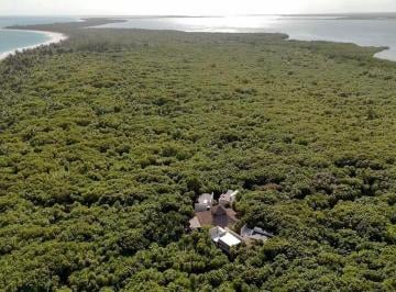 Quinta · 39515m² · 4 Recámaras · Casa Xiknal en Venta Villa Autosustentable Frente Al Mar, Tulum