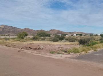 Terreno / Lote · 329m² · Terreno en Venta en Country Club de San Carlos Sonora