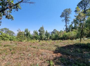 Terreno / Lote · 9000m² · Terreno de 9000 m² en El Fresno