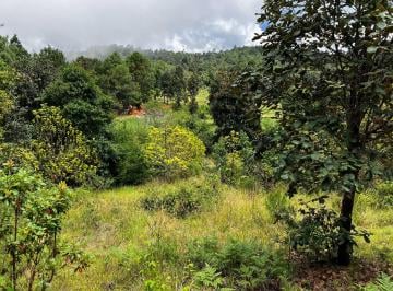 Terreno / Lote , San Cristóbal de las Casas · Terreno en Venta San Felipe del Horizonte a Lado de Bosque de Niebla