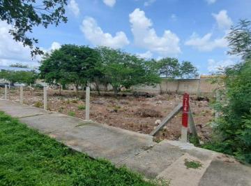 Terreno / Lote , Mérida · Terreno en Renta en Esquina Sobre Av Principal Ciudad Caucel Yucatan