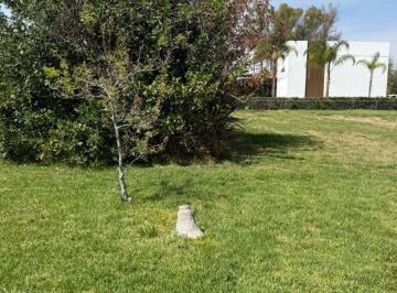 Terreno / Lote , Aguascalientes · Terreno en Venta en San Joaquin