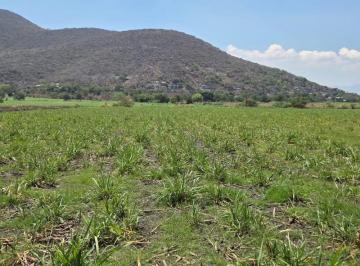 Terreno / Lote , Tlaquiltenango · Terreno en Venta Tlaquiltenango, Morelos