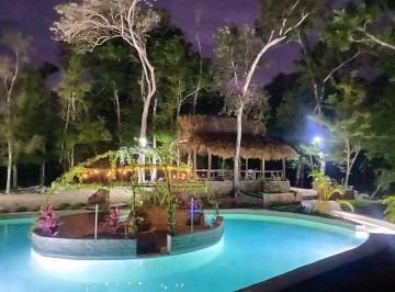 Terreno / Lote · 1313m² · Terrenos en Venta Tulum Mahaná Remate Ideal Inversión Selva - Q. Roo