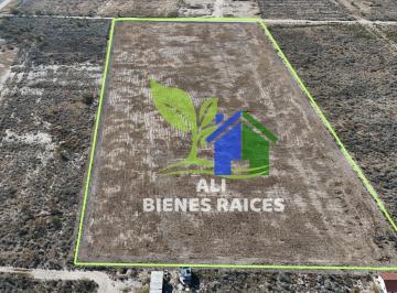 Terreno / Lote · 50000m² · Terreno en Renta en Libramiento Norte Piedras Negras, Coahuila