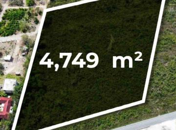 Terreno / Lote , Cancún · Terreno en Venta y Renta Sobre Carretera Cancún – Mérida