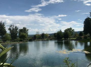 Terreno / Lote · 4860m² - PROYECTO INMOBILIARIO · Terreno en Venta de 4860 m² en Ejido Calderón Viñedo San Miguel Allende Lujo y Naturaleza