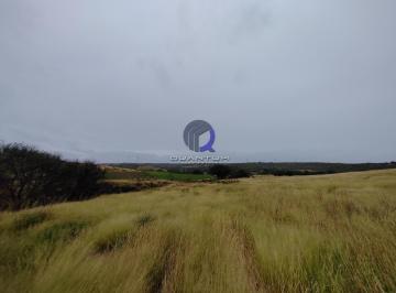Terreno / Lote · 410000m² · Terreno en Venta Salida a San Luis