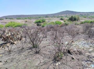 Terreno / Lote · 1500m² · Terreno en La Solana Sobre Carretera - (4)