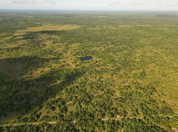 Terreno / Lote · 1510000m² · Terreno en Venta con Cenote en Mérida Yucatán | 151 Hectáreas Para Desarrollo E Inversión