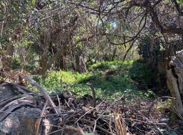Terreno / Lote · 6179m² · Terreno en Venta en Xolatlaco Tepoztlán