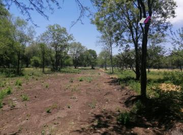 Terreno / Lote · 1500m² · Terrenos Residenciales en Venta - Carretera Nacional - Montemorelos 1500 m²