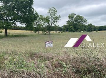 Terreno / Lote · 2245m² · Venta Terreno de 2,245 m² - Carretera a Rayones Camino a Bioparque en Montemorelos