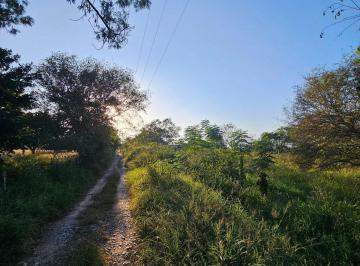 Terreno / Lote · 22516m² · Venta de Terreno de 22,516 m² en Congregación Calles en Montemorelos, Nuevo León.