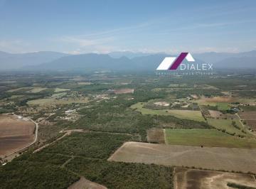 Terreno / Lote · 50000m² · Venta Terreno de 50,000 m² en Los Palmitos Cadereyta, 242 m de Frente, Zona de Alto Crecimiento