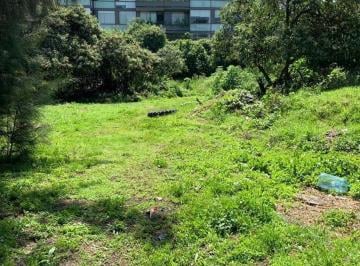 Terreno / Lote , Tlalpan · Terreno en Cafetales de 2,600 m² H8/30/z Norma 26