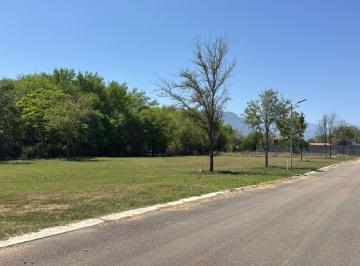 Terreno / Lote · 1500m² · Terreno en Allende