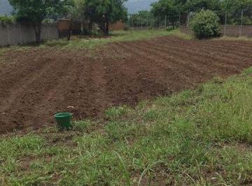 Terreno / Lote · 1215m² · Terreno en Venta en Morelos, Tlayacapan