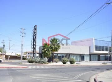 Foto principal · Local Comercial en Renta Plaza La Milla