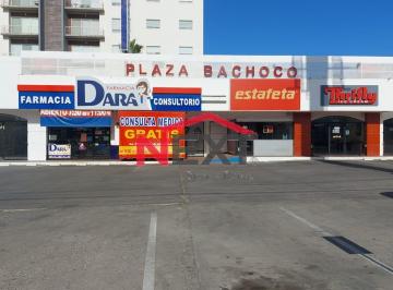 Foto principal · Local en Renta en Plaza Bachoco Sobre Blvd. Morelos