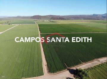 Foto principal · Campos Agricolas en Venta Santa Edith?