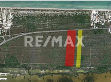 Terreno / Lote · 35667m² · Venta de 2 Terrenos Carretera Mérida Telchac - (4)