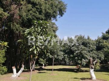Terreno / Lote · 1881m² · Terreno Productivo en Venta, Tenancingo, Estado de México. - (4)