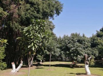 Terreno / Lote · 1881m² · Terreno Productivo en Venta, Tenancingo, Estado de México. - (4)