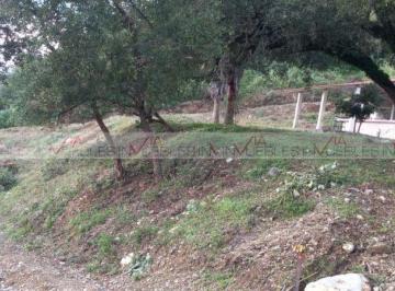 Terreno / Lote · 1507m² · Terreno / Lote en Venta en Montemorelos Centro