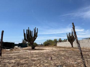 Terreno / Lote , La Paz · Terreno en Venta en La Pitahaya con Factibilidad de Servicios