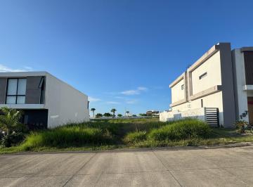 Terreno / Lote · 243m² · Terreno en Punta Tiburón