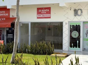 Local2 · Local en Real Montejo