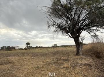 Terreno / Lote , Tlajomulco de Zúñiga · Terreno en Venta Frente Al Lago de Cajititlan Jalisco