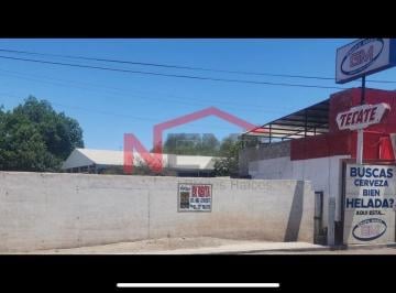 Foto principal · Terreno en Renta en Magdalena de Kino Sonora