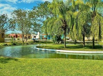 Terreno / Lote , Mérida · Terreno en Venta Mérida, Privada Lirium, Carretera Chicxulub.