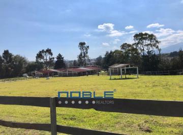 Terreno / Lote , Almoloya de Juárez · Terreno en Venta - Almoloya de Juárez