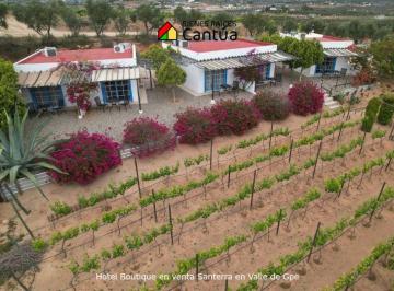 Villa de 10 habitaciones, Ensenada · Hotel Boutique en Venta | 8 Suites + Viñedo | Valle de Guadalupe