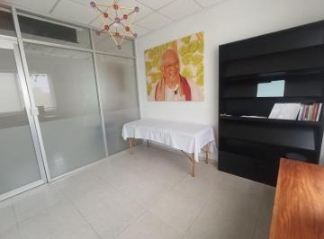 Oficina · 36m² · 1 Estacionamiento · Oficina Pequeña en Renta en Playacar Fase 2 Playa del Carmen